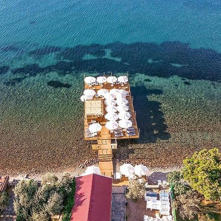Assosa Hotel Ayvacik Екстер'єр фото